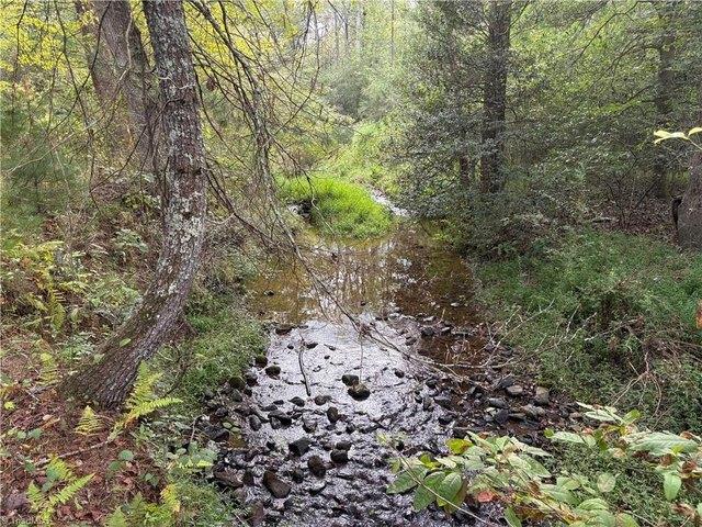 Land for sale in North Wilkesboro, Wilkes County