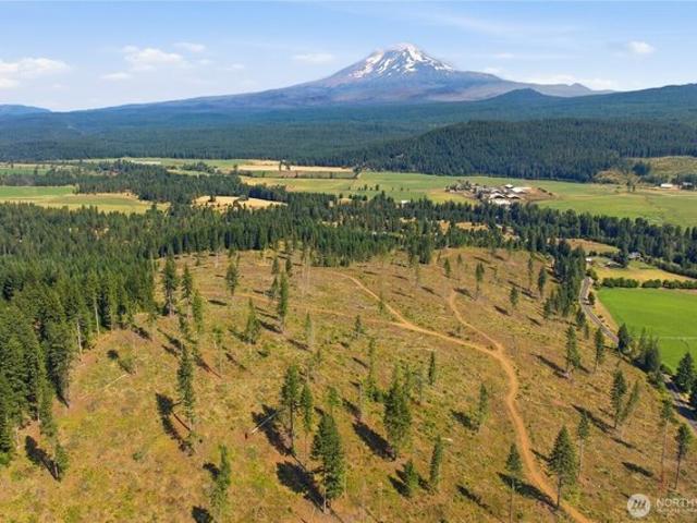 Land for sale in Trout Lake, Washington