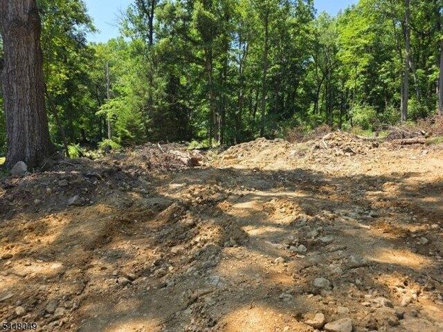 Land for sale in New Jersey