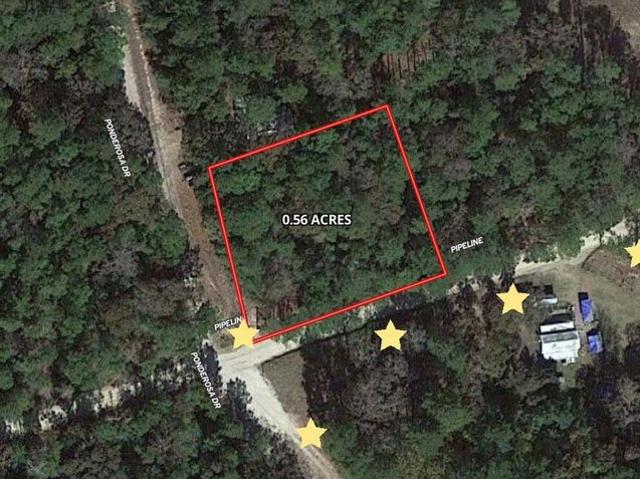 Land for sale in Polk, Texas