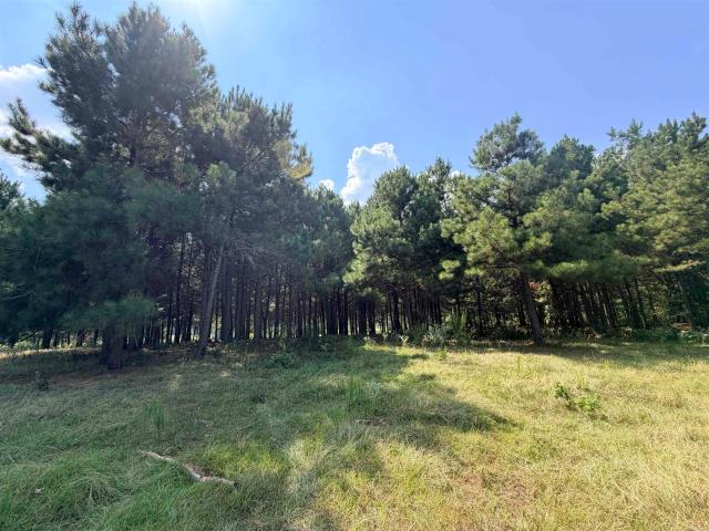Land for sale in Ark
