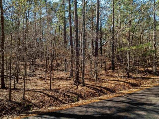 Land for sale in Batesburg