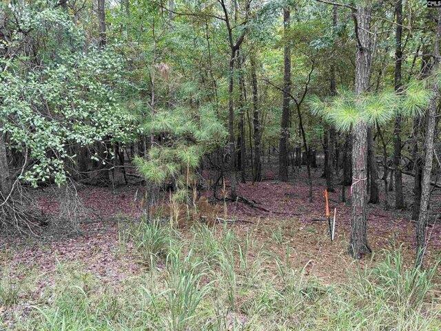 Land for sale in Batesburg