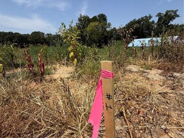 Land for sale in Barry, Missouri