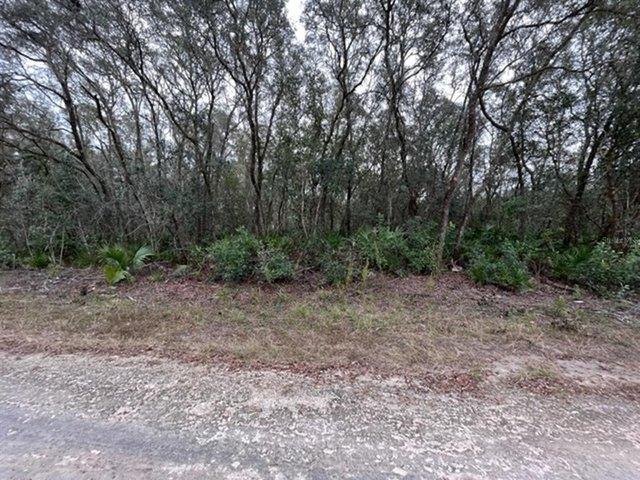 Land for sale in Webster, Florida