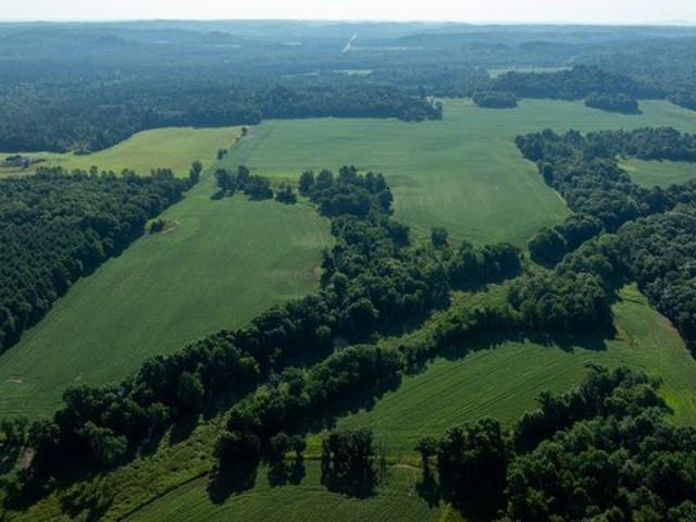 Land for sale in Osseo, Trempealeau County