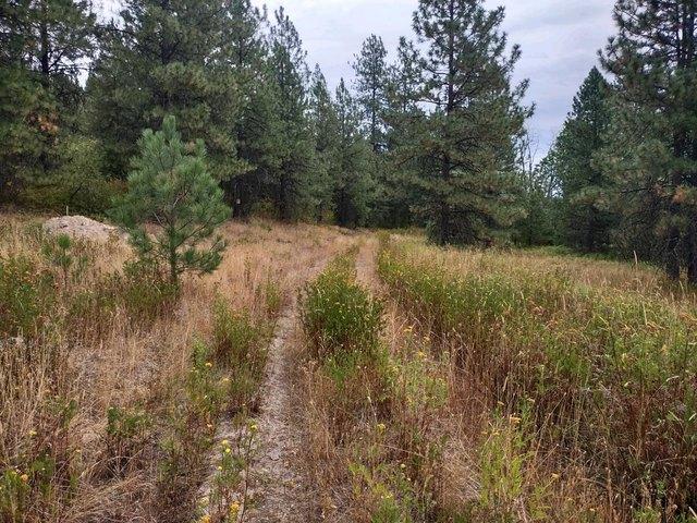 Land for sale in Washington