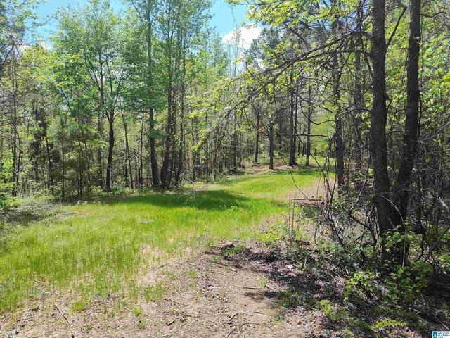 Land for sale in Coosa, Alabama
