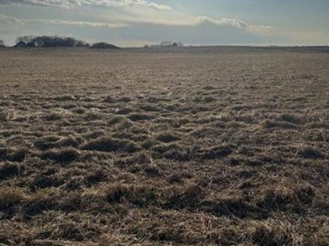 Land for sale in Jewell, Iowa