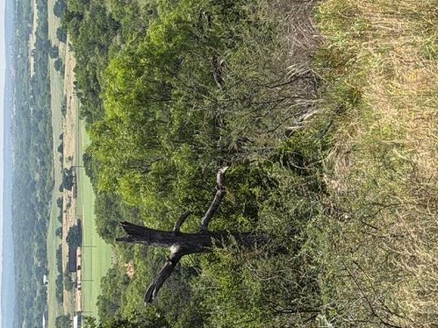 Farm for sale in Mason, Texas