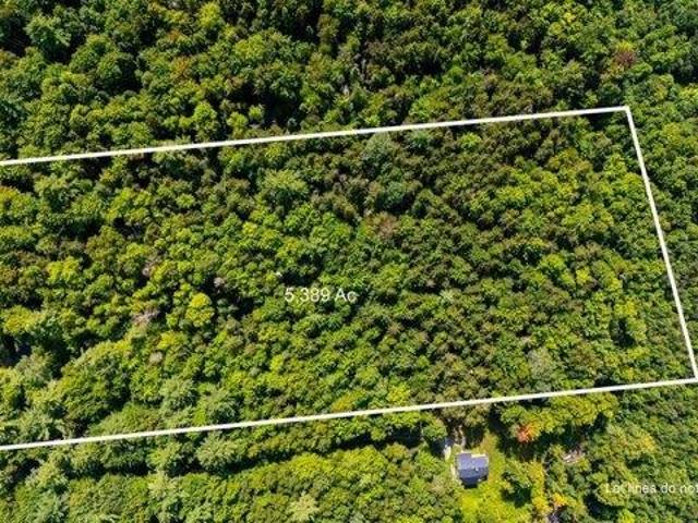 Land for sale in New Hampshire