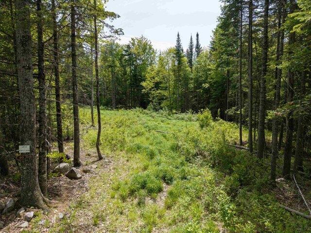 Land for sale in New Hampshire