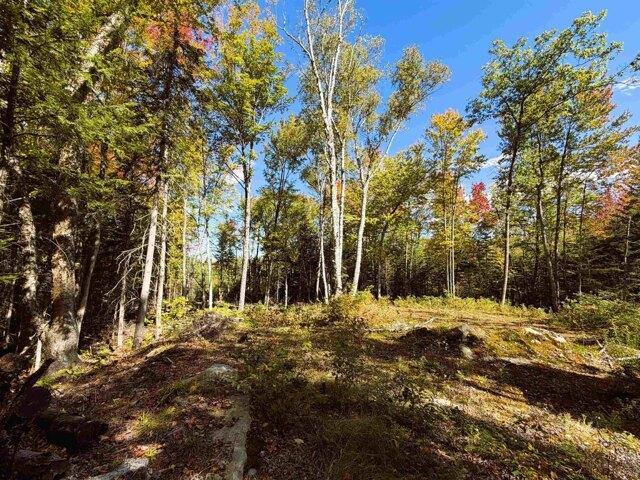 Land for sale in Littleton, Grafton County