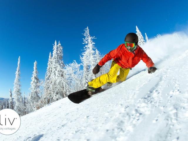 Apartment for rent in Flagstaff, Arizona