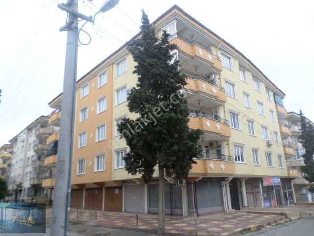 Kilis Merkez, Kilis içerisinde kiralık mülk