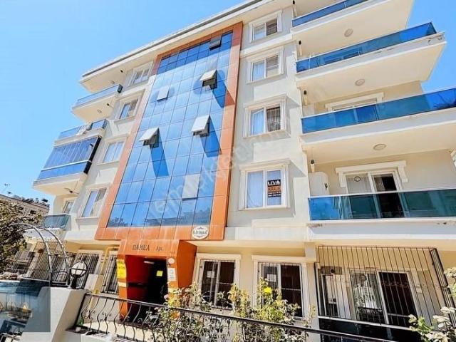 Kilis Merkez, Kilis içerisinde kiralık mülk