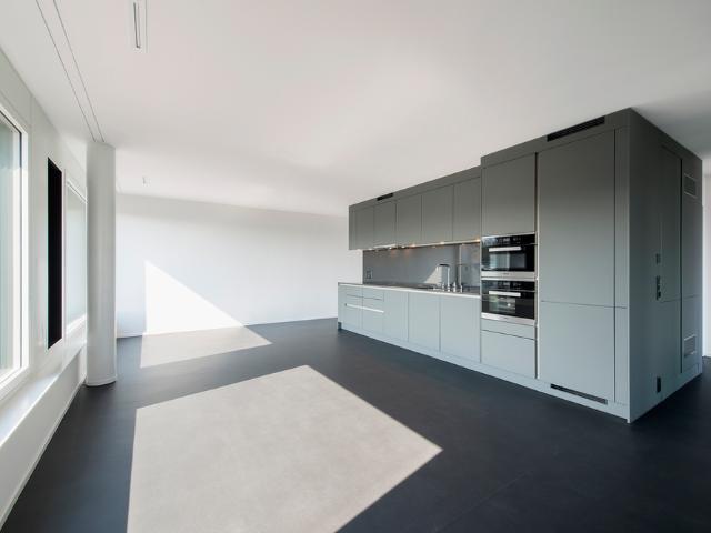 Apartment mieten in Einigen, Zürich
