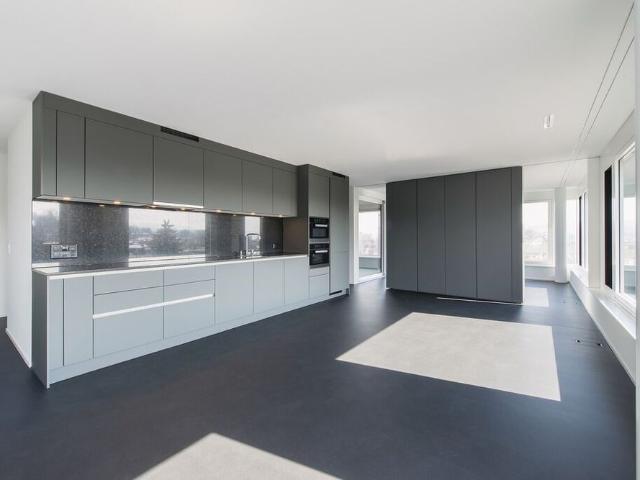 Apartment mieten in Einigen, Zürich