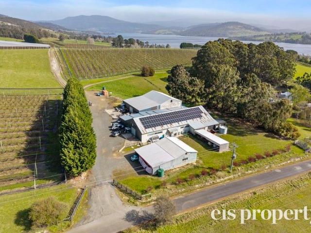House for sale in Cygnet, Tasmania