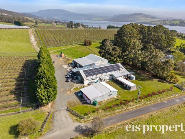House for sale in Cygnet, Tasmania