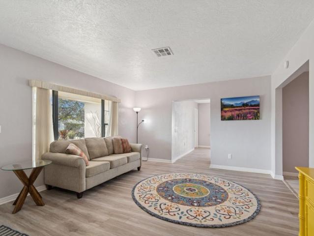 Room for rent in Saint Petersburg, Florida