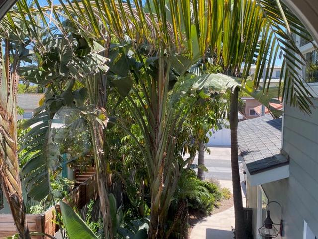 Room for rent in Ventura, California