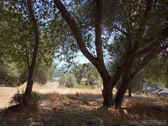 Land for sale in Oakhurst, California