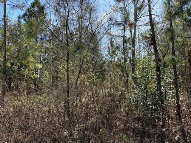 Land for sale in Suwannee, Florida