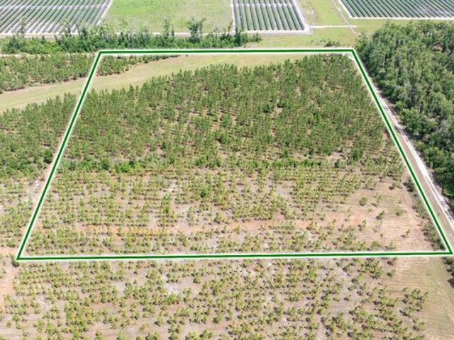 Land for sale in Suwannee, Florida