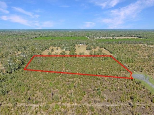 Land for sale in Suwannee, Florida