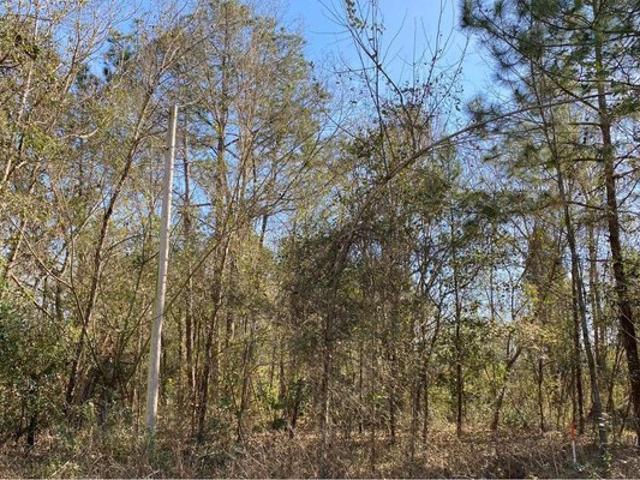 Land for sale in Suwannee, Florida