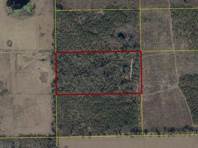 Land for sale in Suwannee, Florida