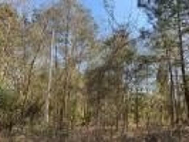 Land for sale in Suwannee, Florida