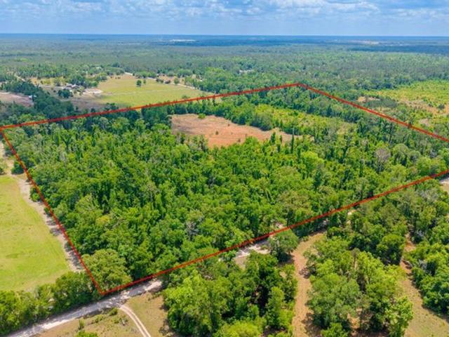 Land for sale in Suwannee, Florida