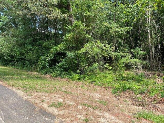 Land for sale in Barnwell