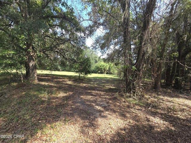 Land for sale in Blountstown, Florida