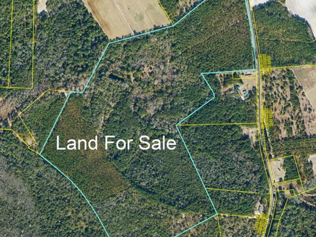 Land for sale in Wake, North Carolina