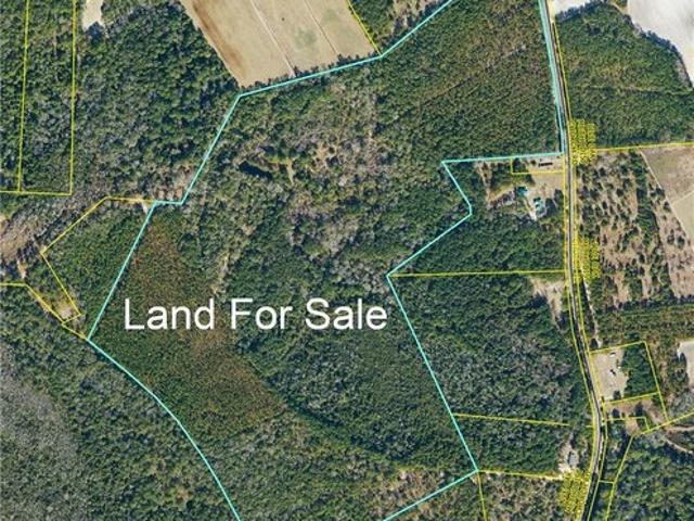 Land for sale in Wake, North Carolina