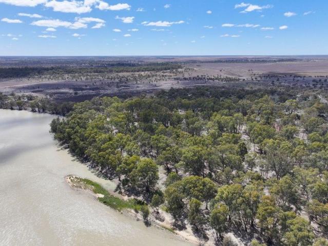 Cottage for sale in Wentworth, New South Wales