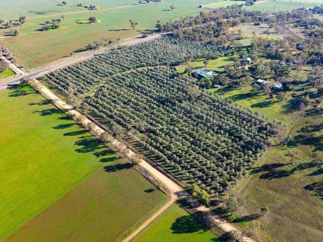 Cottage for sale in Belfrayden, New South Wales