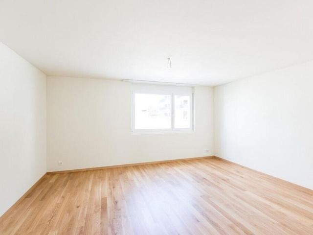 Apartment mieten in Breitenbach, Solothurn
