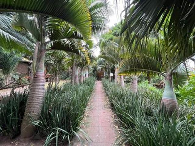 Farm for sale in Ugu District Municipality, Kwazulu-natal