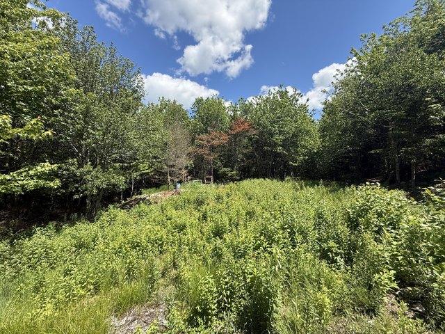Land for sale in Whiting, Maine