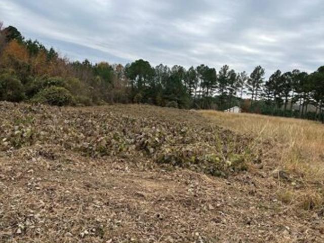 Land for sale in Ahoskie