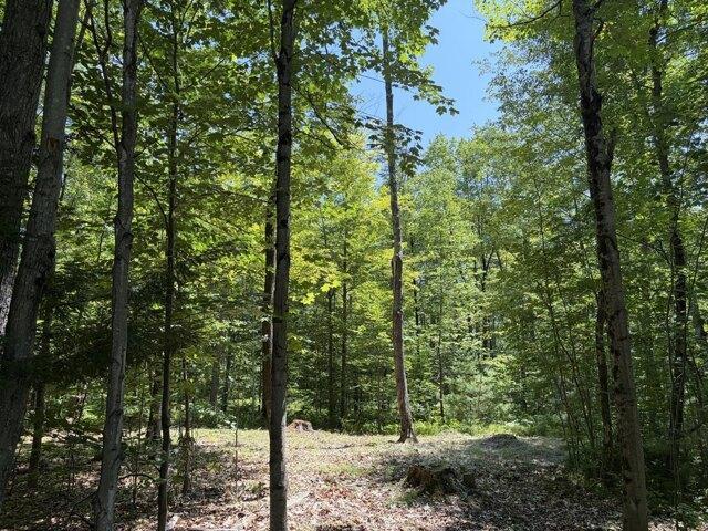 Land for sale in Livermore Falls, Maine