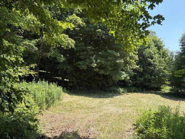 Land for sale in Livermore Falls, Maine