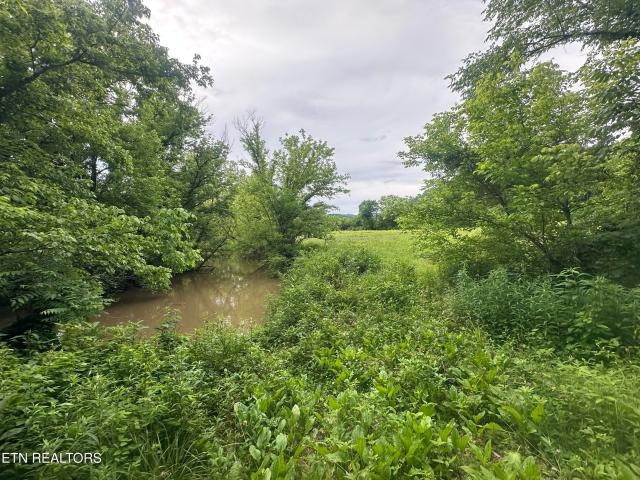 Land for sale in Tennessee