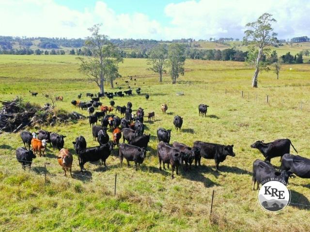 Cottage for sale in Ettrick, New South Wales