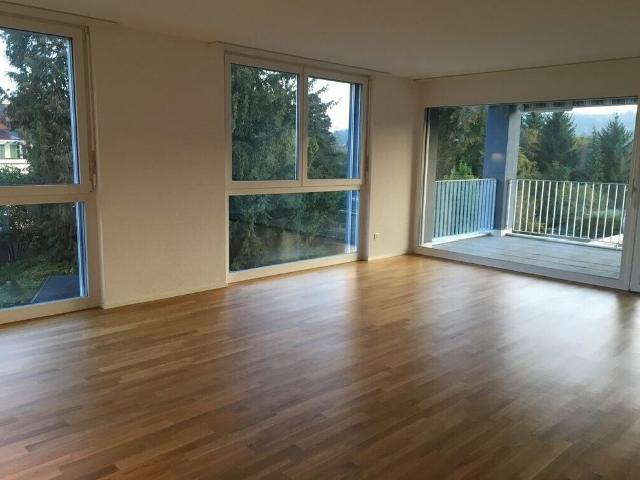 Apartment mieten in Menziken, Aargau
