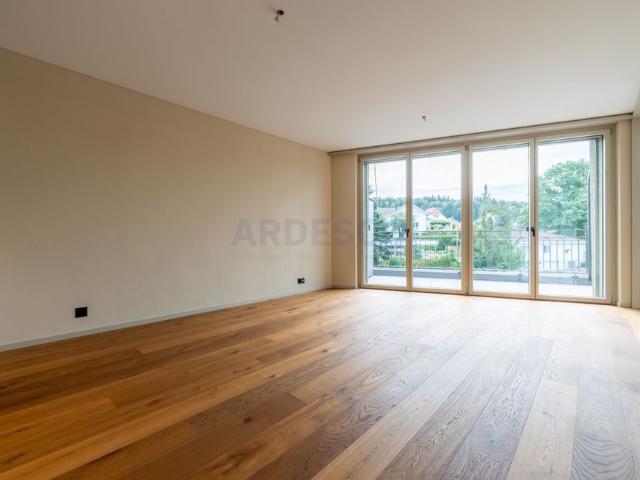 Apartment mieten in Schönenwerd, Solothurn